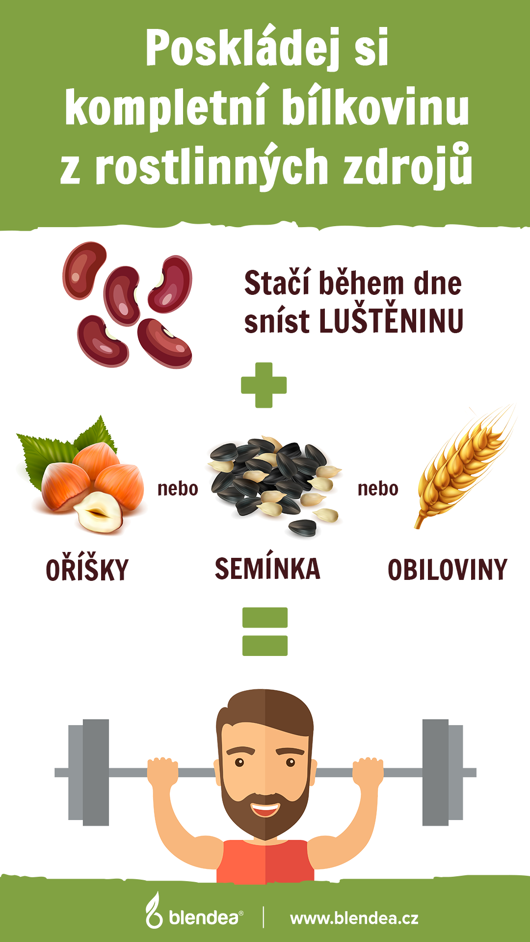 infografika bilkoviny