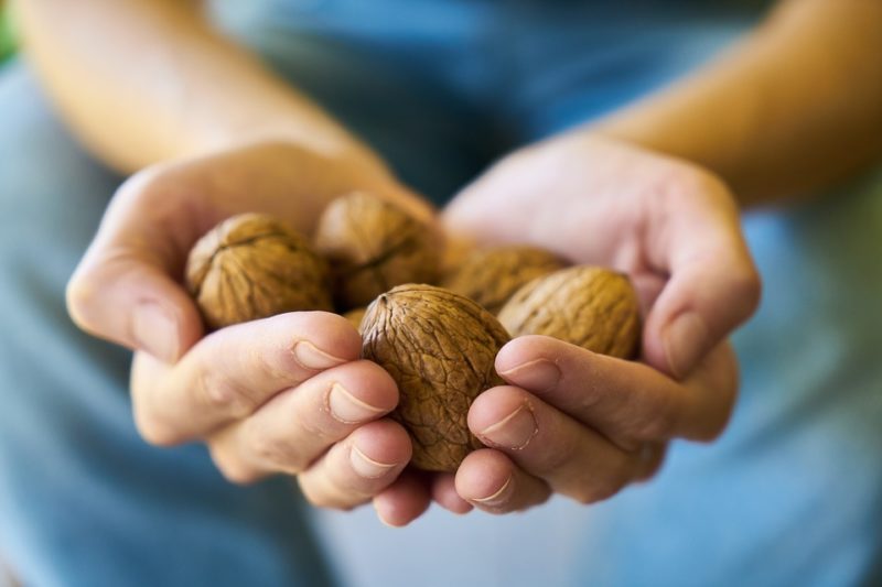 ořechy běheme vegetariánské keto diety