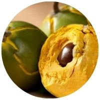 lucuma v Blendea SUPERBOOST